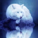 whitewolf_lanayru