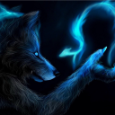 dragondark.wolf