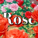 Rose 🌹 Server