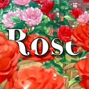 Serveur Rose 🌹