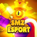 Icône ⚡smz⚡|esport 💛